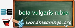 WordMeaning blackboard for beta vulgaris rubra